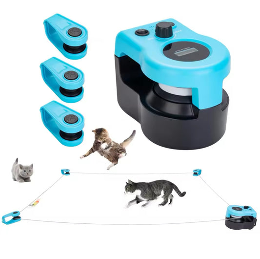 Cat interactive chase toy